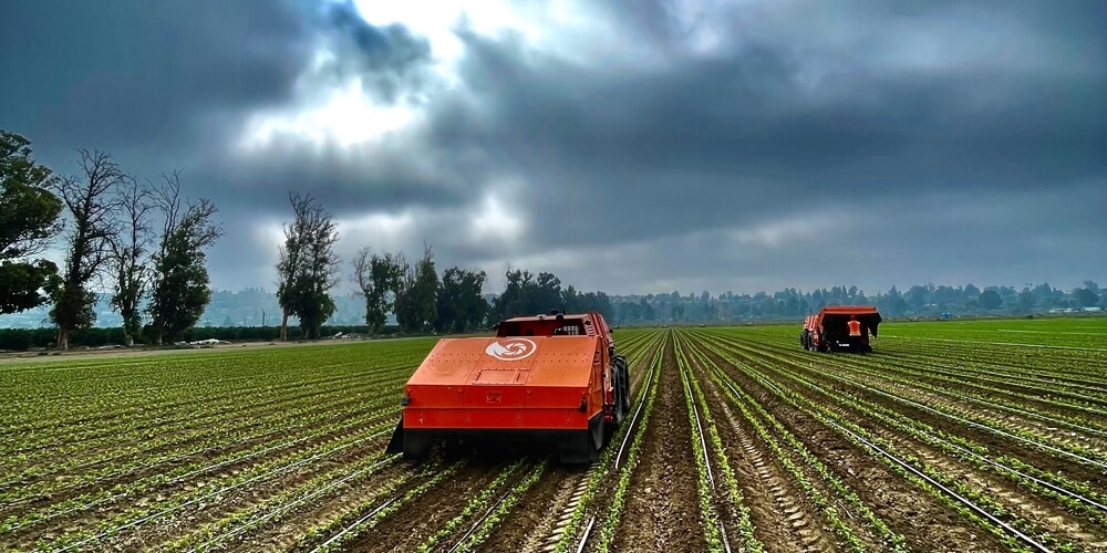 Two FarmWise Titan robots picking weeds on a cloudy day