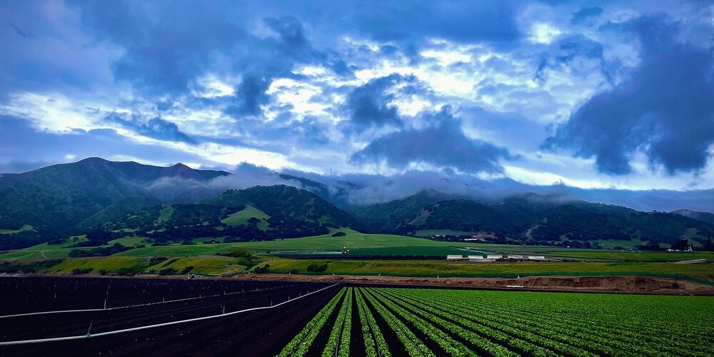 A Salinas Valley field ready for work